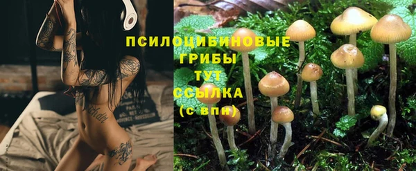 COCAINE Алзамай