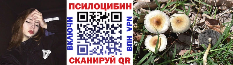 наркошоп  Нефтекамск  Псилоцибиновые грибы Psilocybe 
